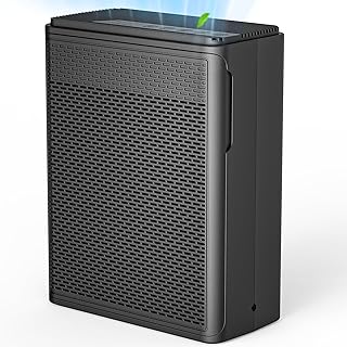 Air Purifiers for Home Pets Covers Up to 1500 Sq Ft,H13 Hepa Filter with Washable Pre-Filter,Pet Hair Dander Smoke Air Cleaner,22 dB Quiet Sleep for Living Room Bedroom Kitchen,P280 (Black)