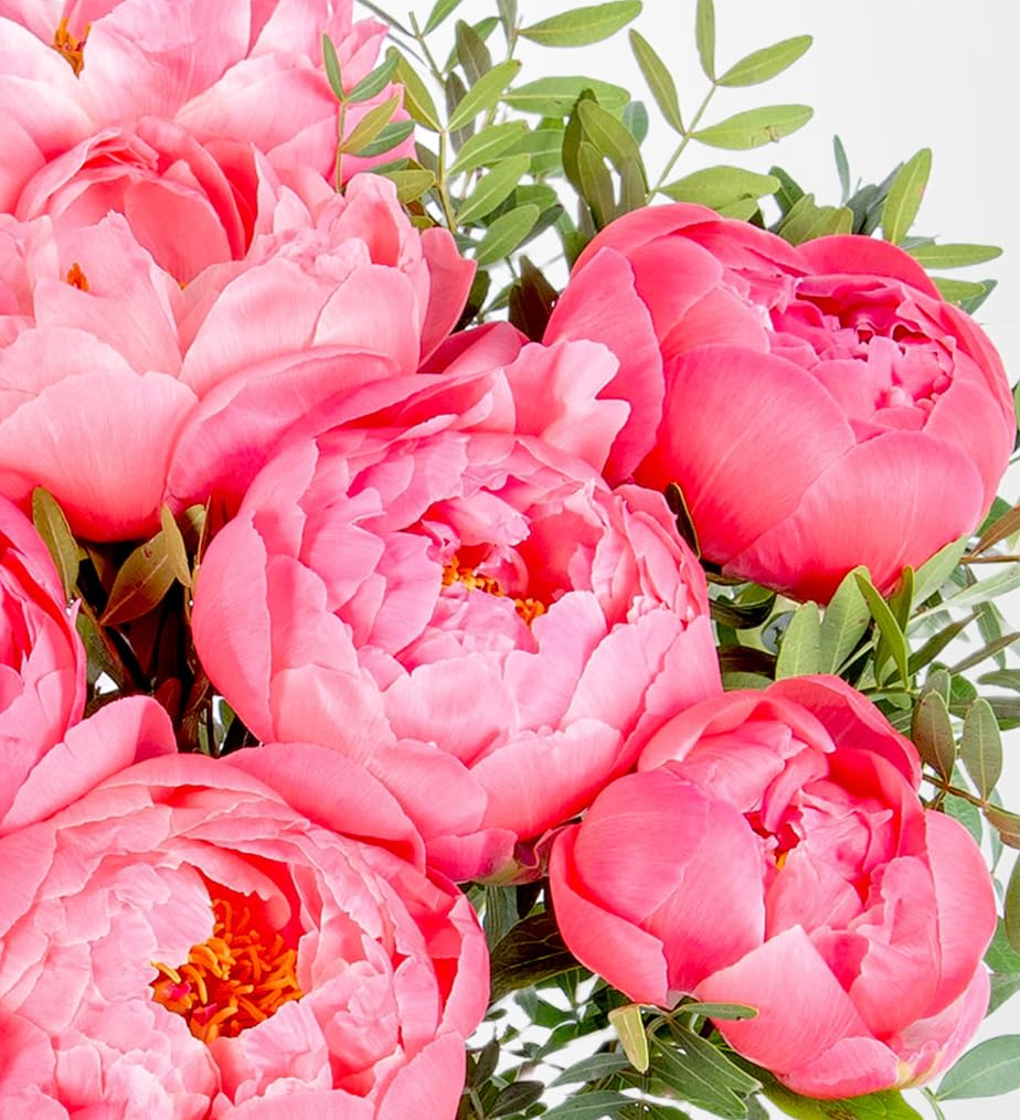 Bouquet de Pivoines Fraîches Livré à la Main - Composition Florale Élégante avec Expédition le Lendemain