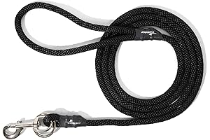 The No-Pull Thunder Leash: Control Your Large Dog with Ease!