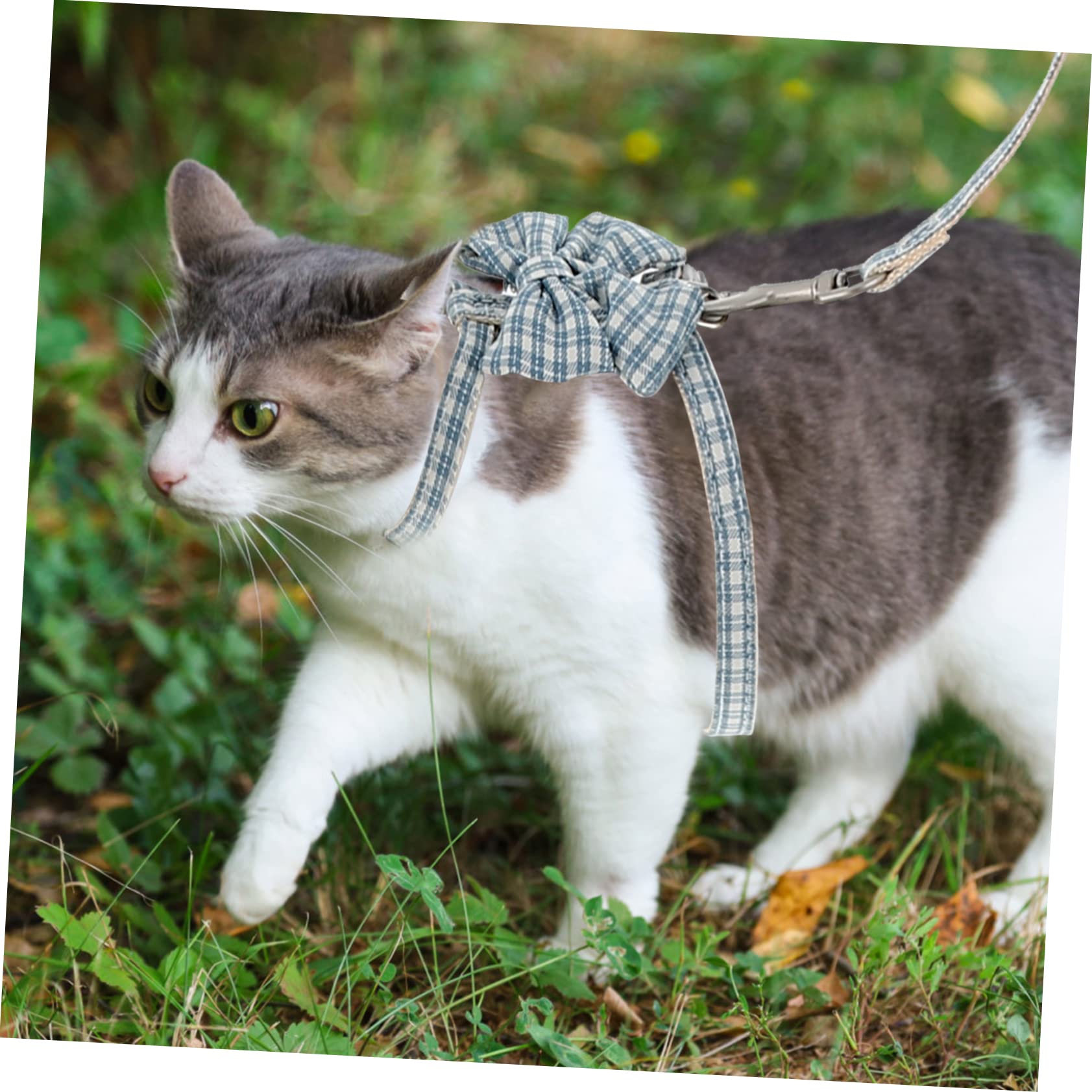 YARNOW 4 Set Guinzaglio Per Gatti Cinghia Di Trazione Per Gatti Domestici Pettorina Per Corda Di Trazione Per Piccolo Cane A Piedi Regolabile Corda Per Poliestere
