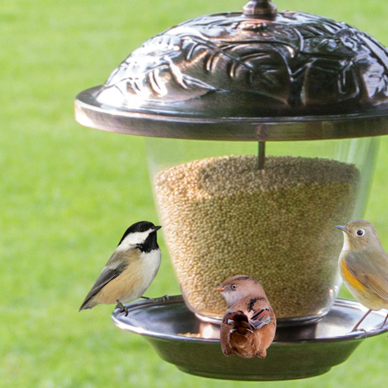 Aimerizzatori di uccelli appesi, alimentatori di uccelli del gazebo di panorama e decorazione del giardino per gli osservatori e i bambini dell'uccello, giardino del giardino esterno, con il tetto