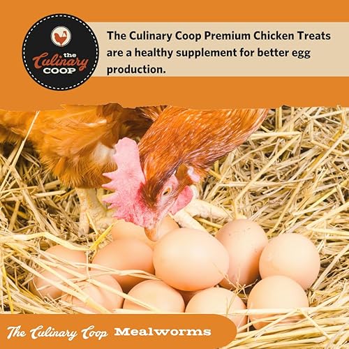 Miniatura 6 de Fluker's Culinary Coop Premium - Golosinas de pollo, gusanos de la harina, 3.5 onzas, gusano alto en proteínas, golosina nutritiva