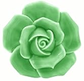 2pcs-Pack Ceramic Vintage Floral Rose Dresser Closet Kitchen Cupboard Deawer Knobs Handle Decor Pulls w/Screws (Green)