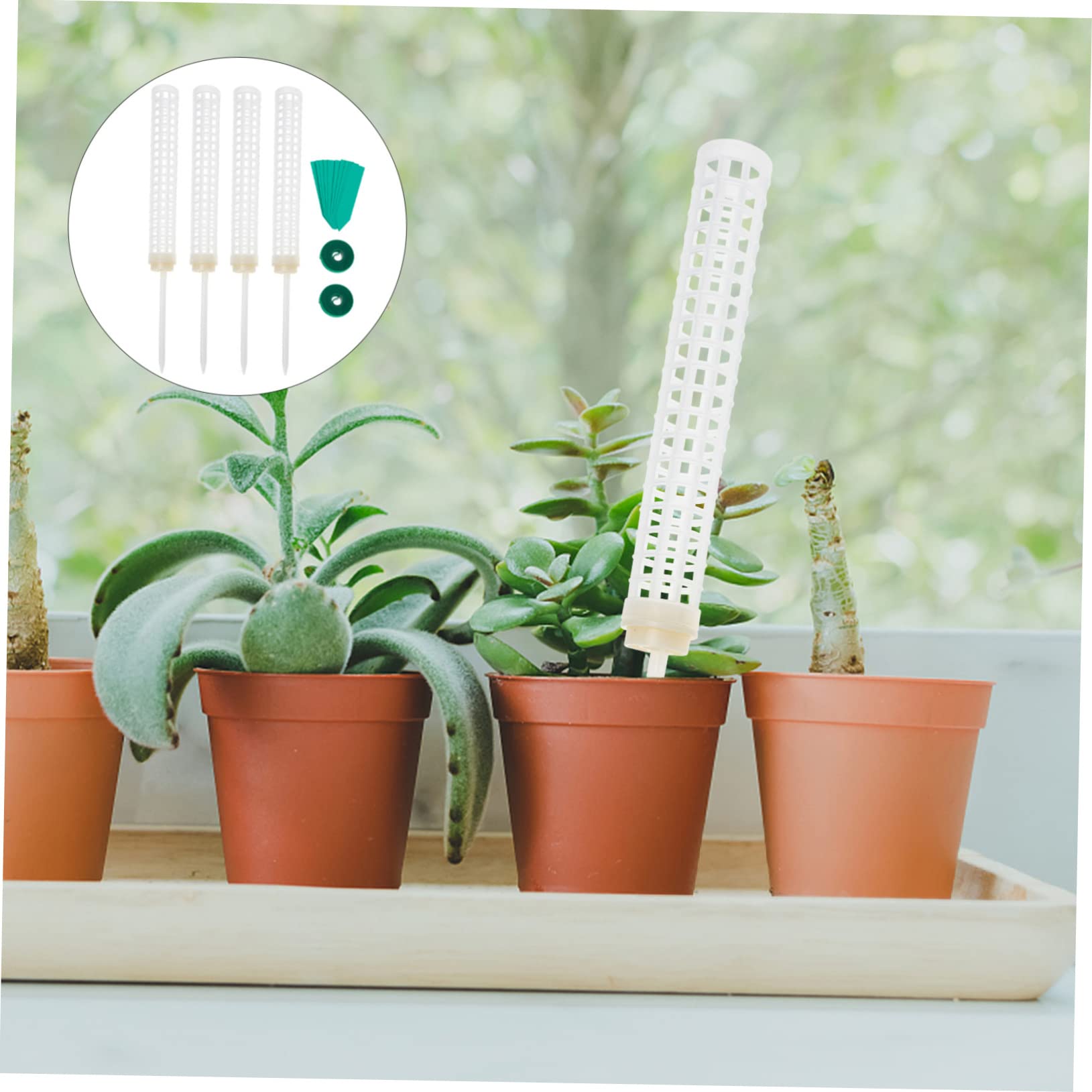 ifundom 4 Juegos Columna de Escalada de Plantas apoya Postes de Musgo para Plantas trepadoras Apoyo apuestas árbol Poste de Musgo para Plantas de Interior estacas de plastico el plastico