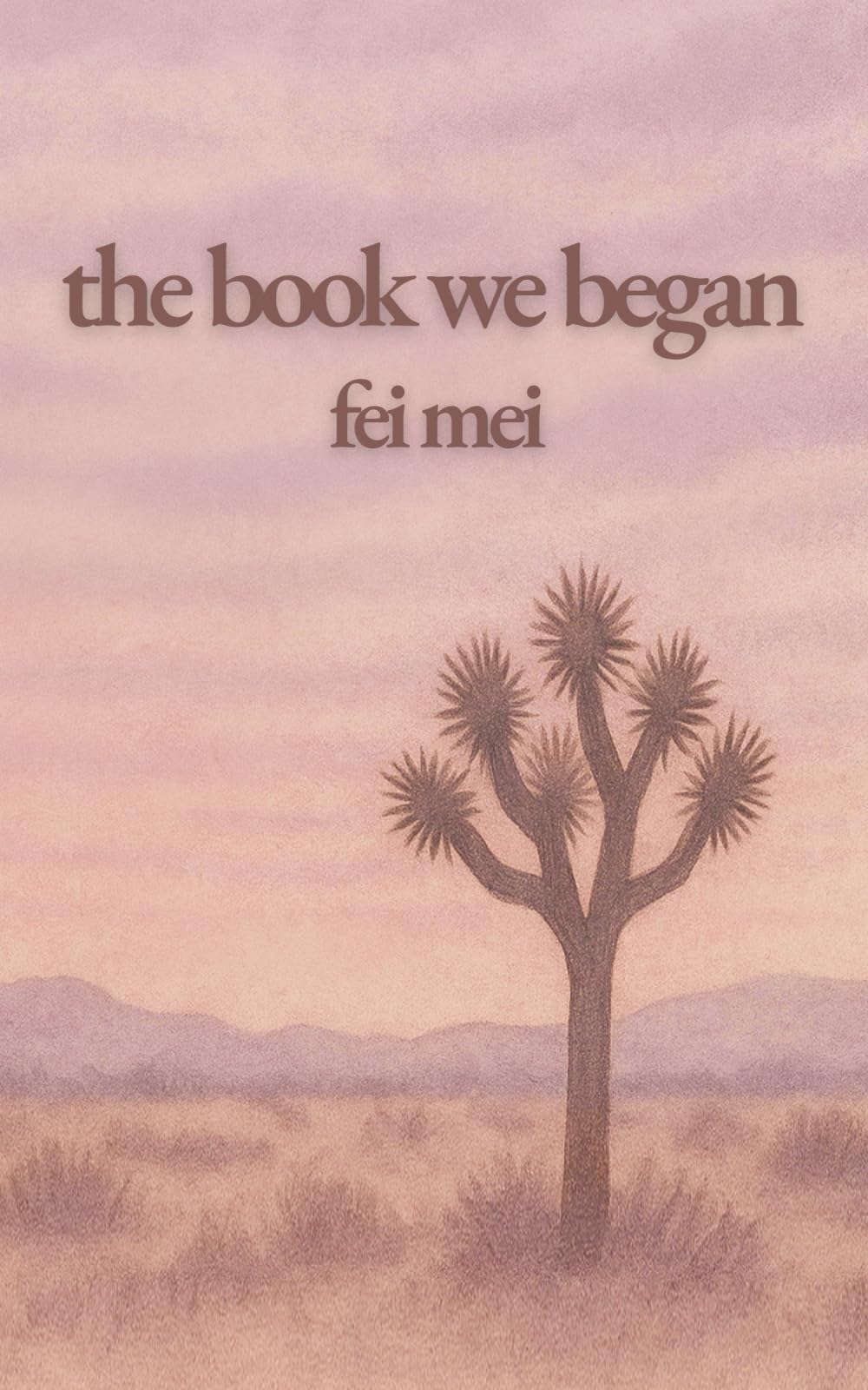 The Book We Began