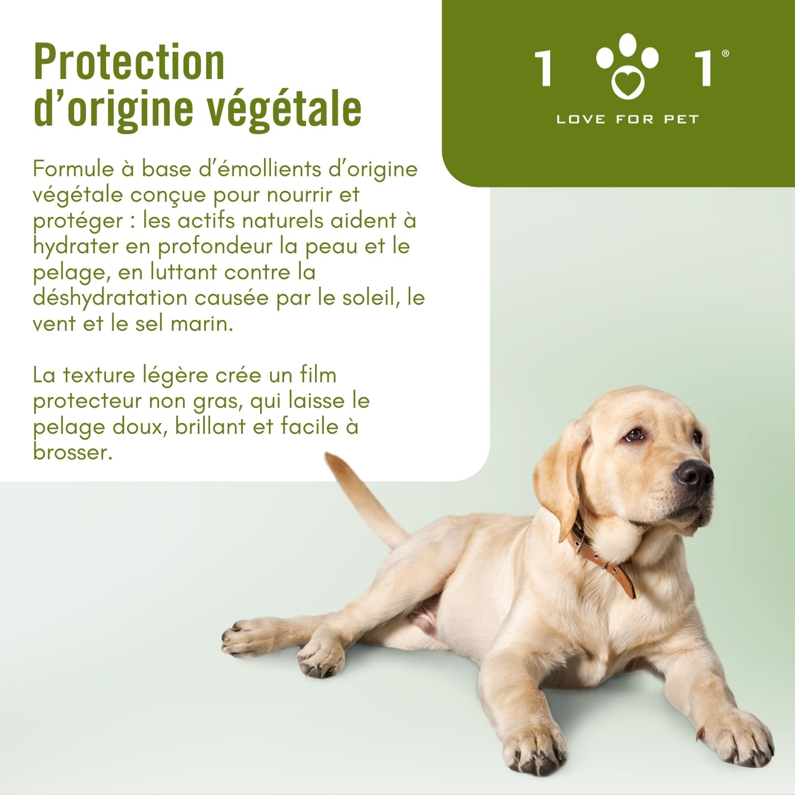 Linea 101 Creme Solaire Chien et Chat Spray 250ml Naturel et Végétal, Crème Solaire Chat Blanc, Protège Peau et Pelage du Soleil, Sel et Vent, SPF 30