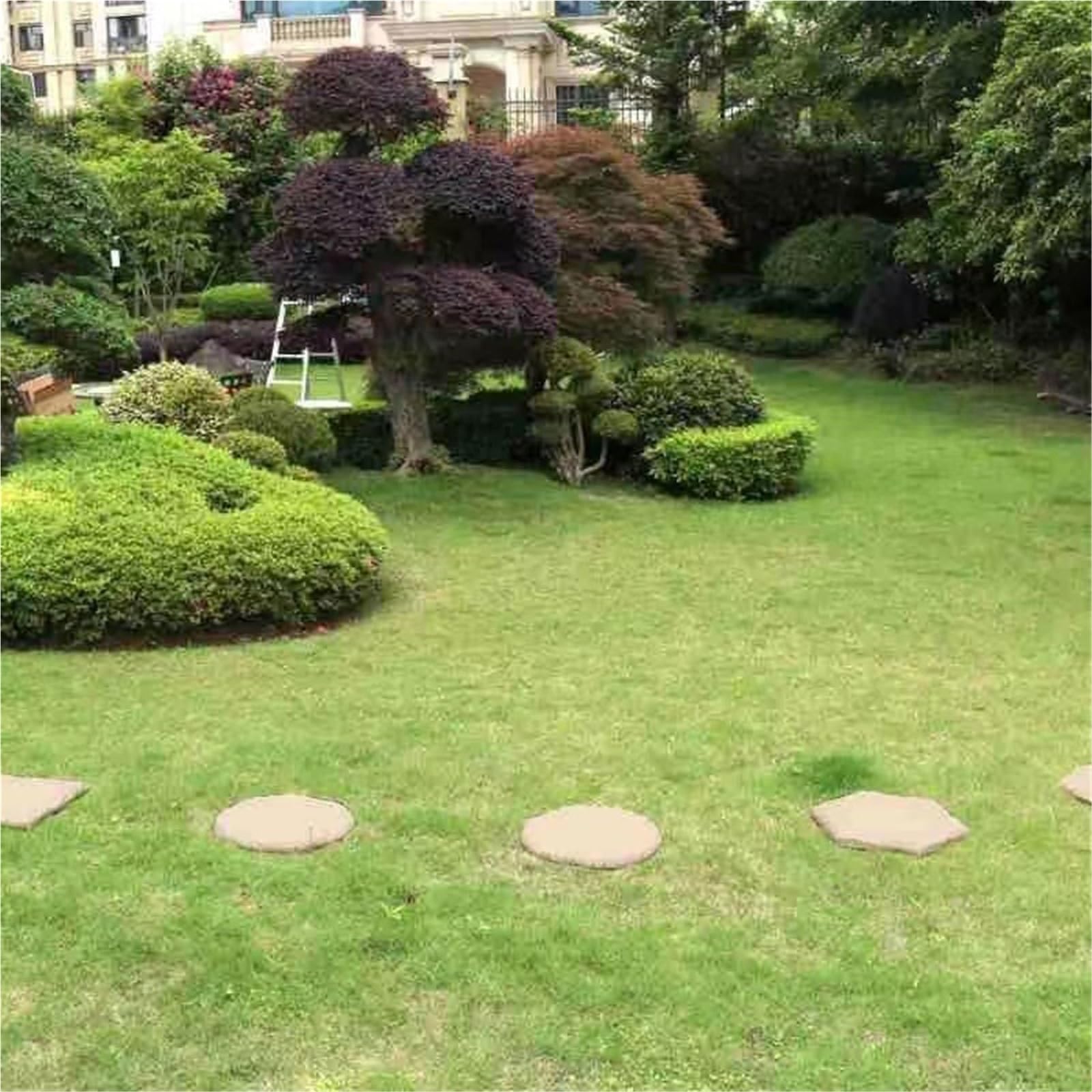 Pas Japonais Jardin Tremplin extérieur antidérapant 4 pièces