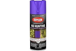 Krylon Fluorescent Spray Paint For Multi Surfaces
