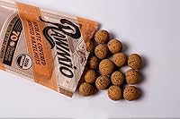 Vista 4 de Rawmio Avellanas germinadas cubiertas de chocolate - Orgánicas, crudas, veganas, 70% chocolate negro, 2 paquetes, 2 onzas.