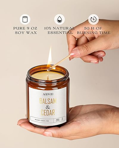 Miniatura 54 de AOOVOO Velas de canela de manzana, velas perfumadas de 9 onzas, vela de aromaterapia, vela de soja para el hogar