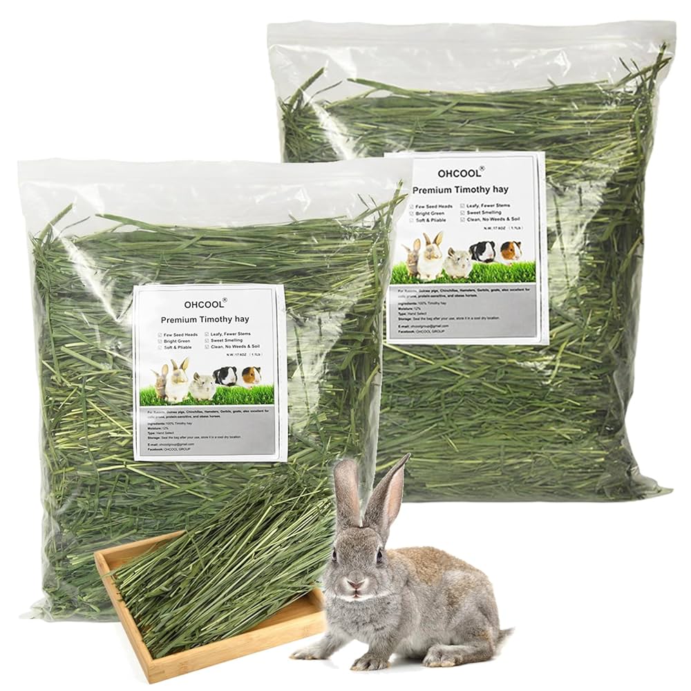 How to Store Chinchilla Hay to Keep It Fresh: Expert Tips