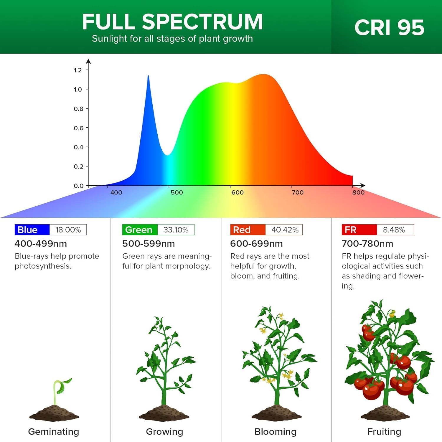 SANSI 300W LED Grow Lights, 2-Head Full Spectrum LED Plant Lamp with Clip, 4000K Sunlike - Image 4