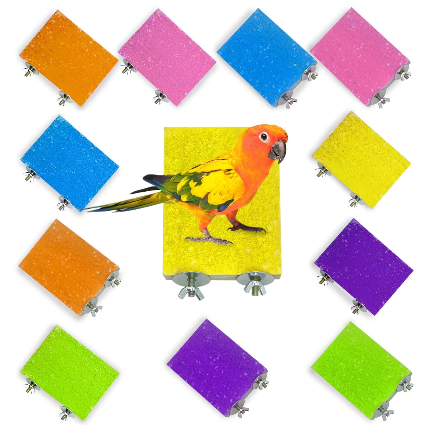 kathson 12 Pcs Bird Perch Stand Toy Colorful Wood Paw Grinding Stick Parrot Perch Stand Holder Platform Bird Cage Accessories for Pet Bird Parakeet