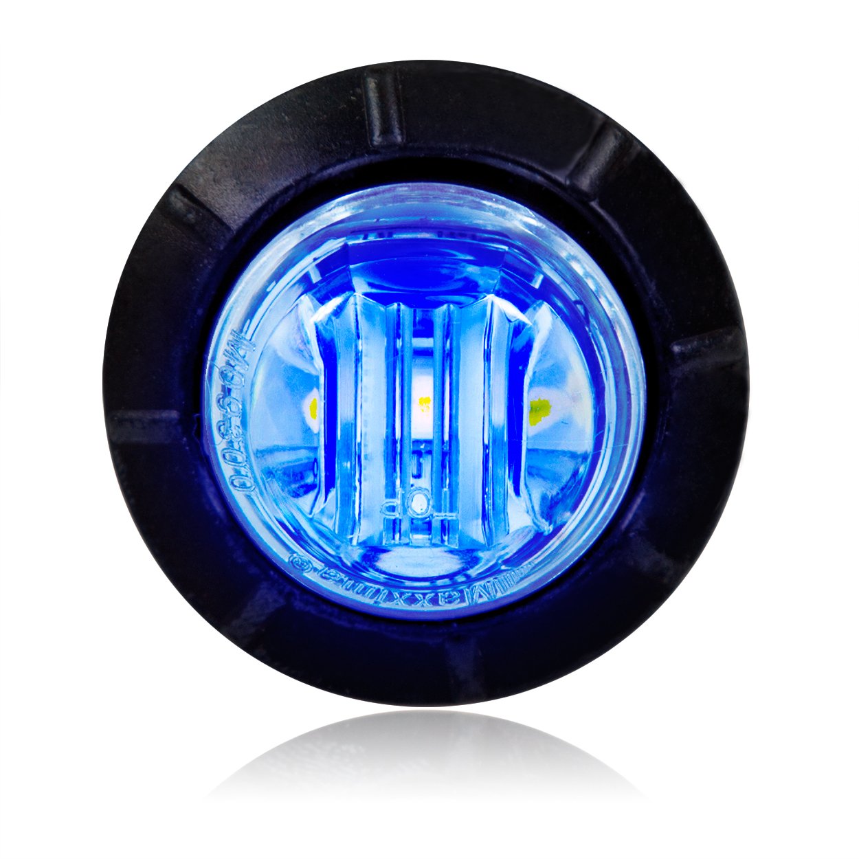 Amazon.com: Maxxima M09300BCL Blue 3/4