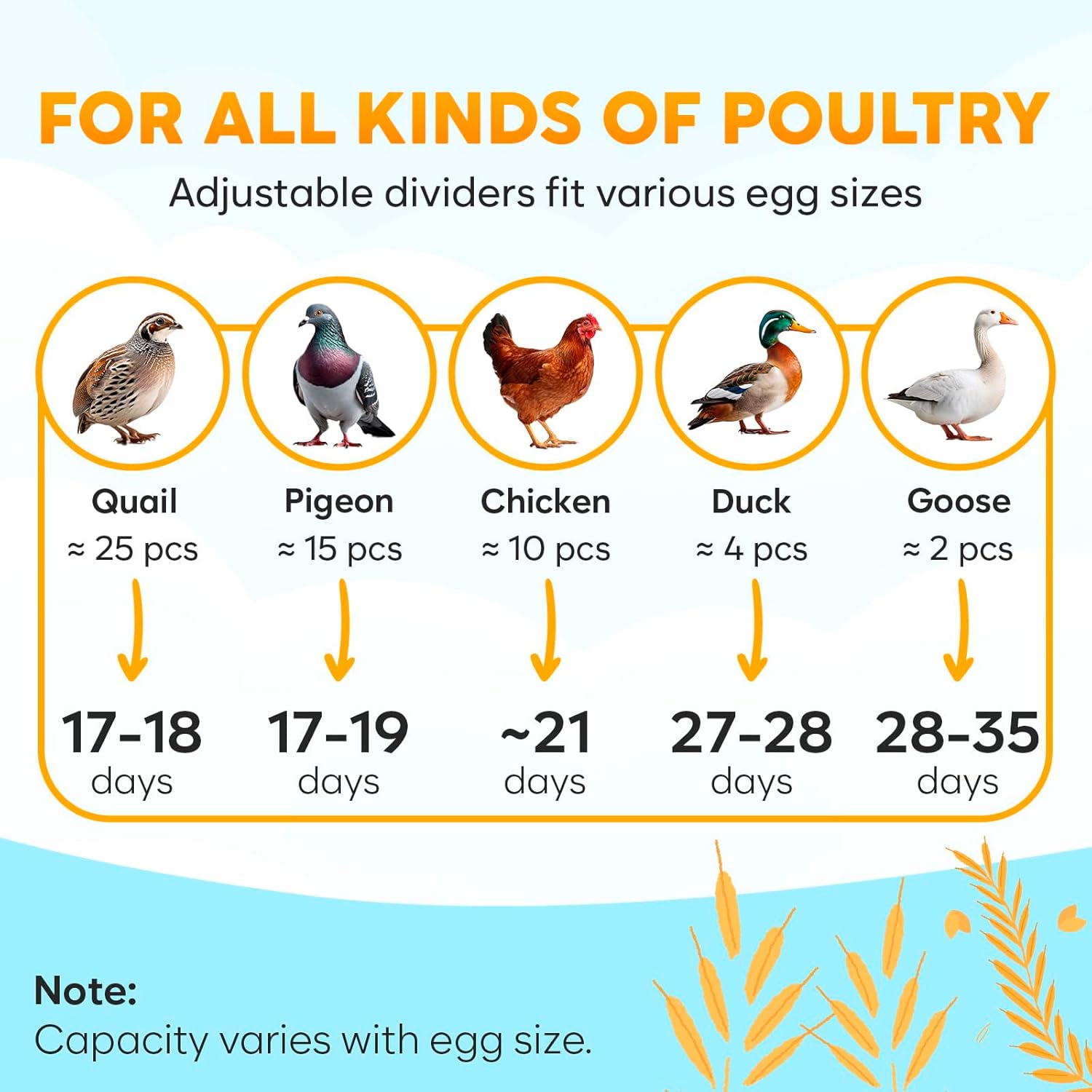 18 Egg Incubator with Automatic Egg Turning and Humidity Control – Egg Incubators for Hatching Eggs – Egg Candler, Water Bottle Refill, Air Vent, 360° View – Incubadora de Huevos de Gallina