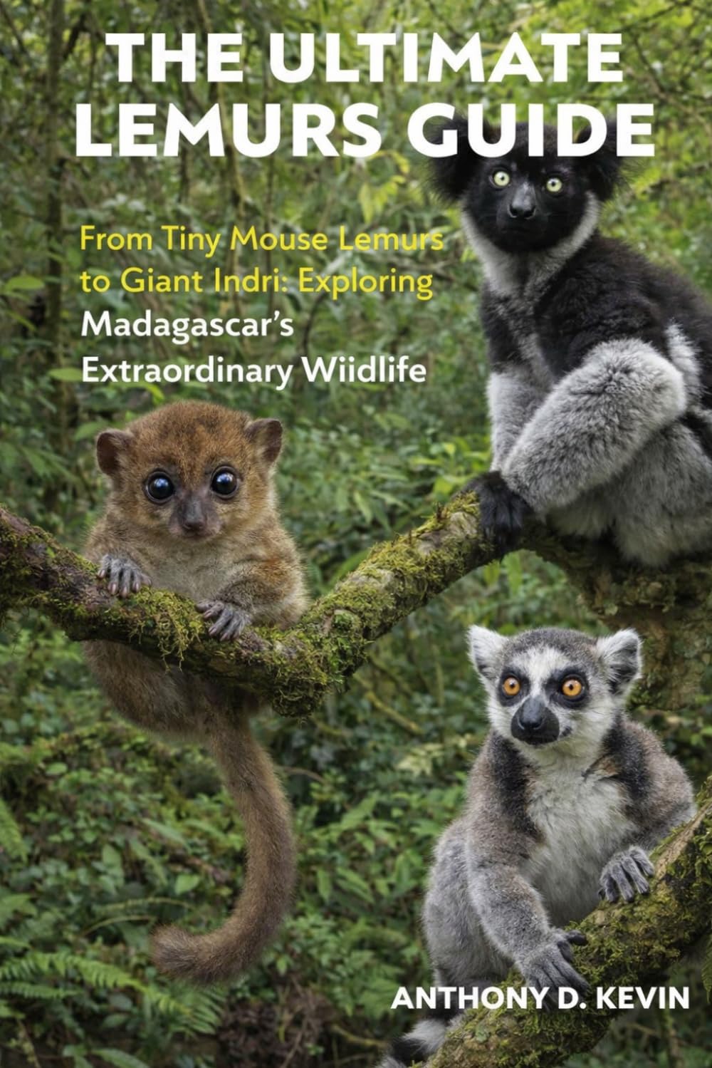 THE ULTIMATE LEMURS GUIDE: From Tiny Mouse Lemurs to Giant Indri: Exploring Madagascar’s Extraordinary Wildlife