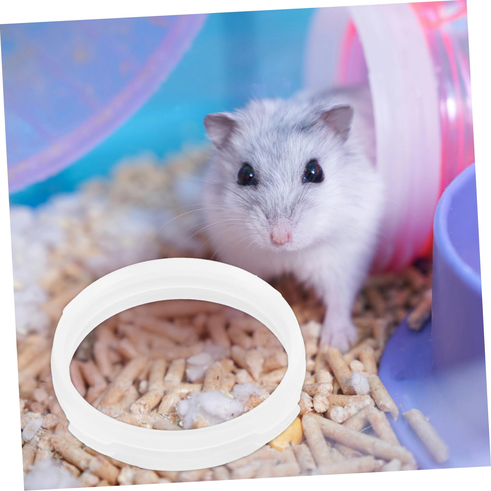 INOOMP 40stücke Hamster Tunnel Ringe Wiederverwendbare Verbindungselemente Für Röhren Flexible Und Sichere Spielzeuge Für Hamster Und Andere Kleintiere