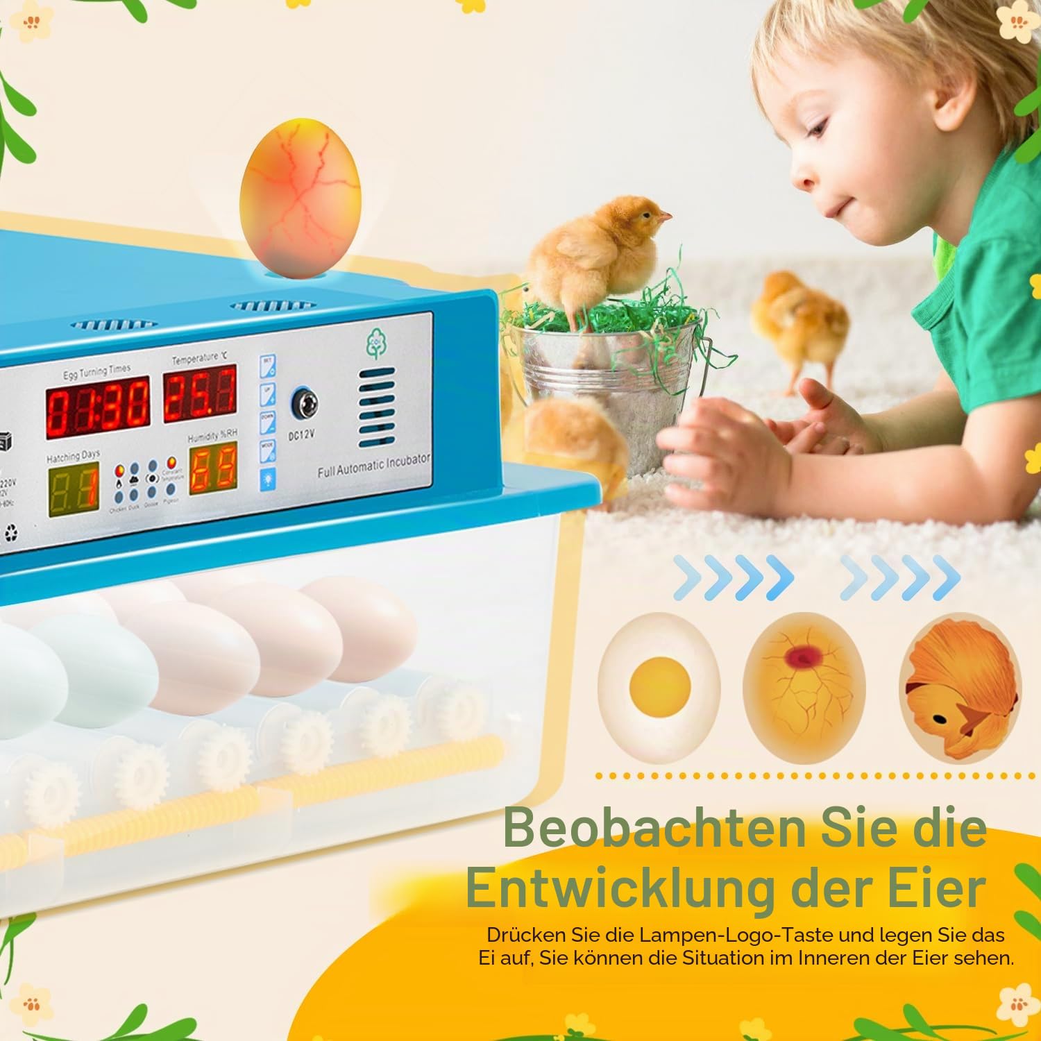 Randaco Brutautomat Vollautomatisch, Inkubator für Hühner, Brutmaschine mit LED Display Temperaturkontrolle, Automatisches Rotationssystem, LED Beleuchtung (64 Eier)