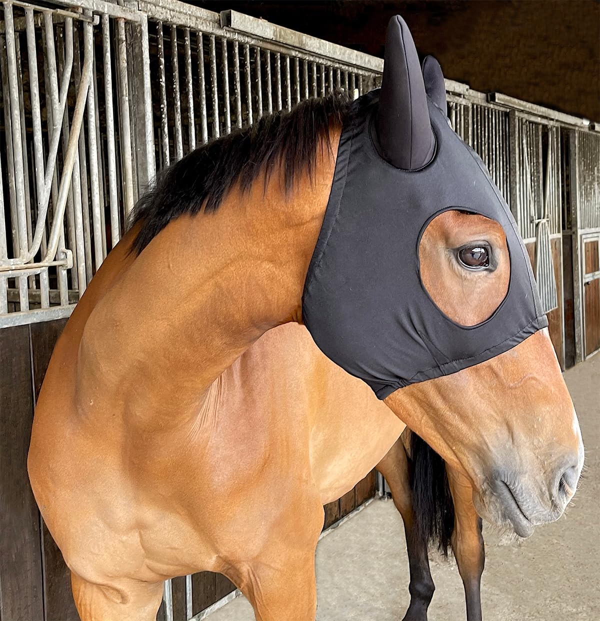 Lycra Racing Hood with Padded Ears For Horse - One Size (Black)