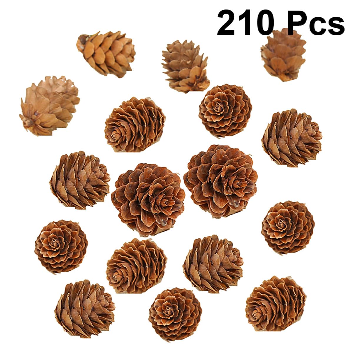 LIFKOME 210 Piezas Piñas de Mini Piñas Naturales Secas Decoraciones Hogar para Acción de Gracias y Navidad