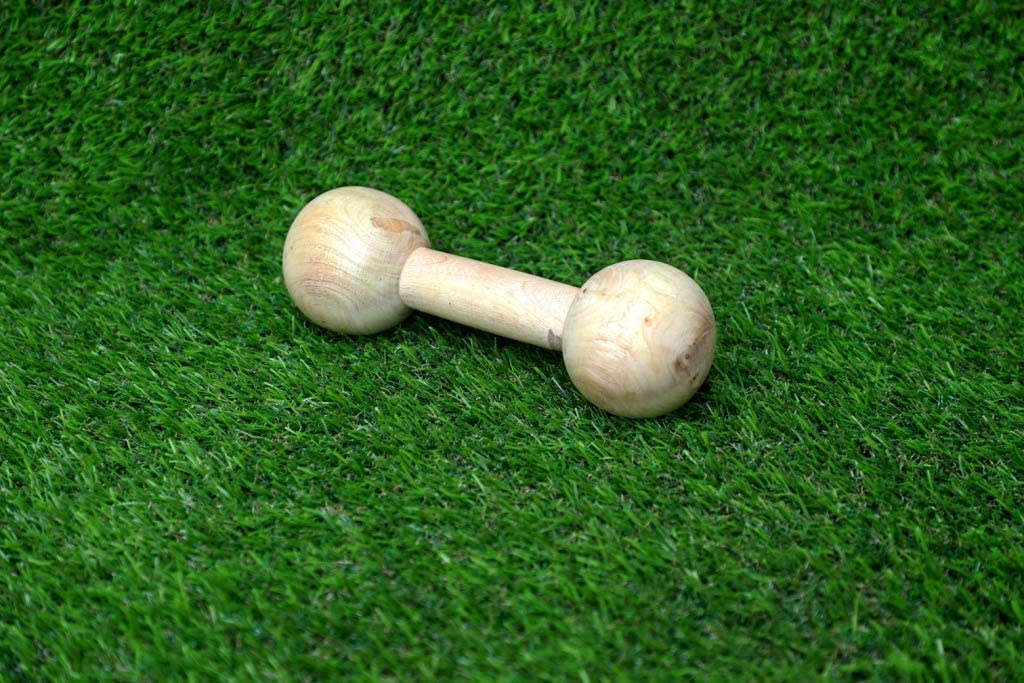 PETS EMPIRE Natural Wood Pet Chew Toy, Solid Dog Toy Wooden Retrieving Dumbbell (Large) (B0C16TRM6S) Amazon Price History, Amazon Price Tracker