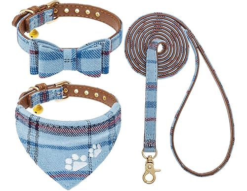 Best 10 Small Dog Collar and Leash Set for Boy Reviews [2024]