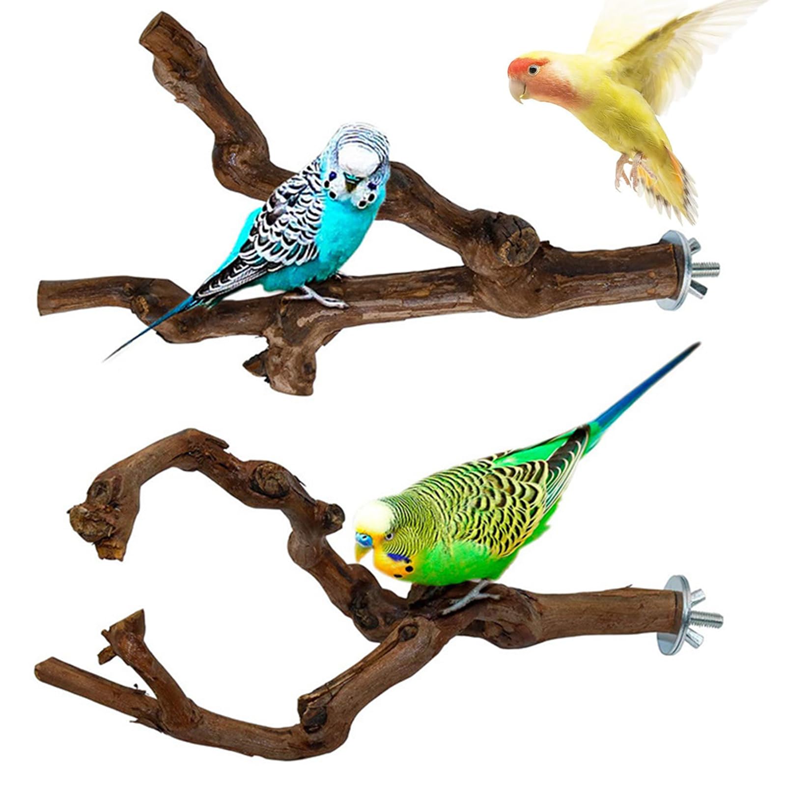 9 Pz Posatoi per Pappagalli, Posatoi per Uccelli, Trespolo per Uccelli e Pappagalli, Ramo D'uva Naturale Giocattolo Posatoi per Uccelli Legno Naturale per Cacatua, Cocorite
