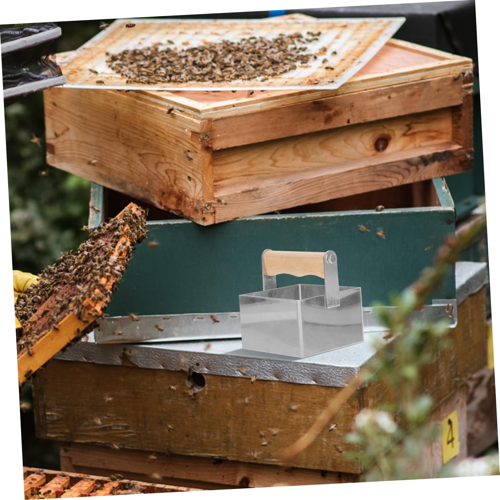 SEWACC Honigschneider Rechteckiger mit Komfortablem Griff aus Edelstahl Imker Honigschneidwerkzeug für Präzises Schneiden von Wabenhonig im Bienenstock