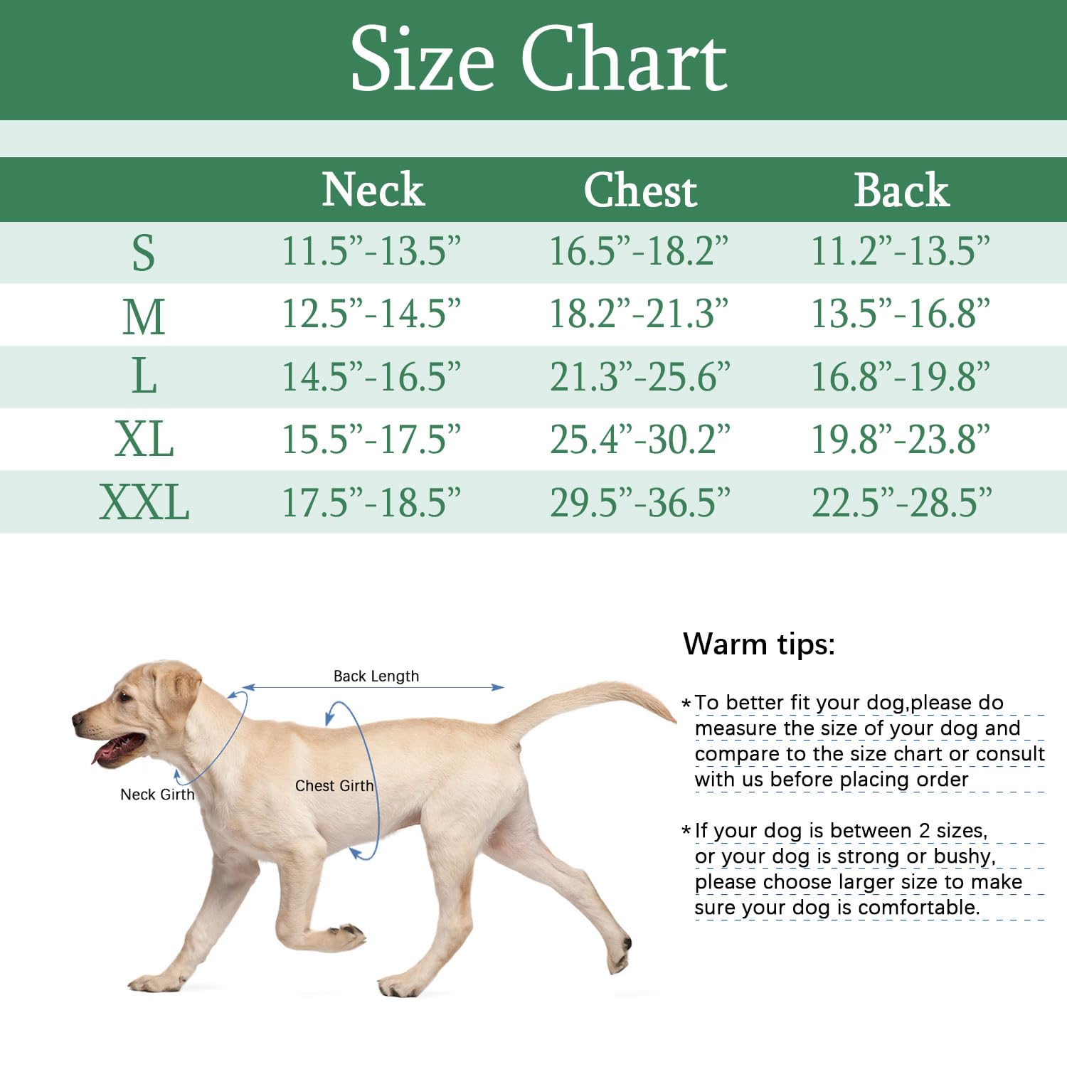KAROKU Dog Recovery Suit - Image 2