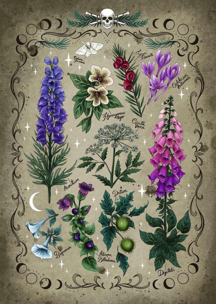 1000 Teile - Giftpflanzen