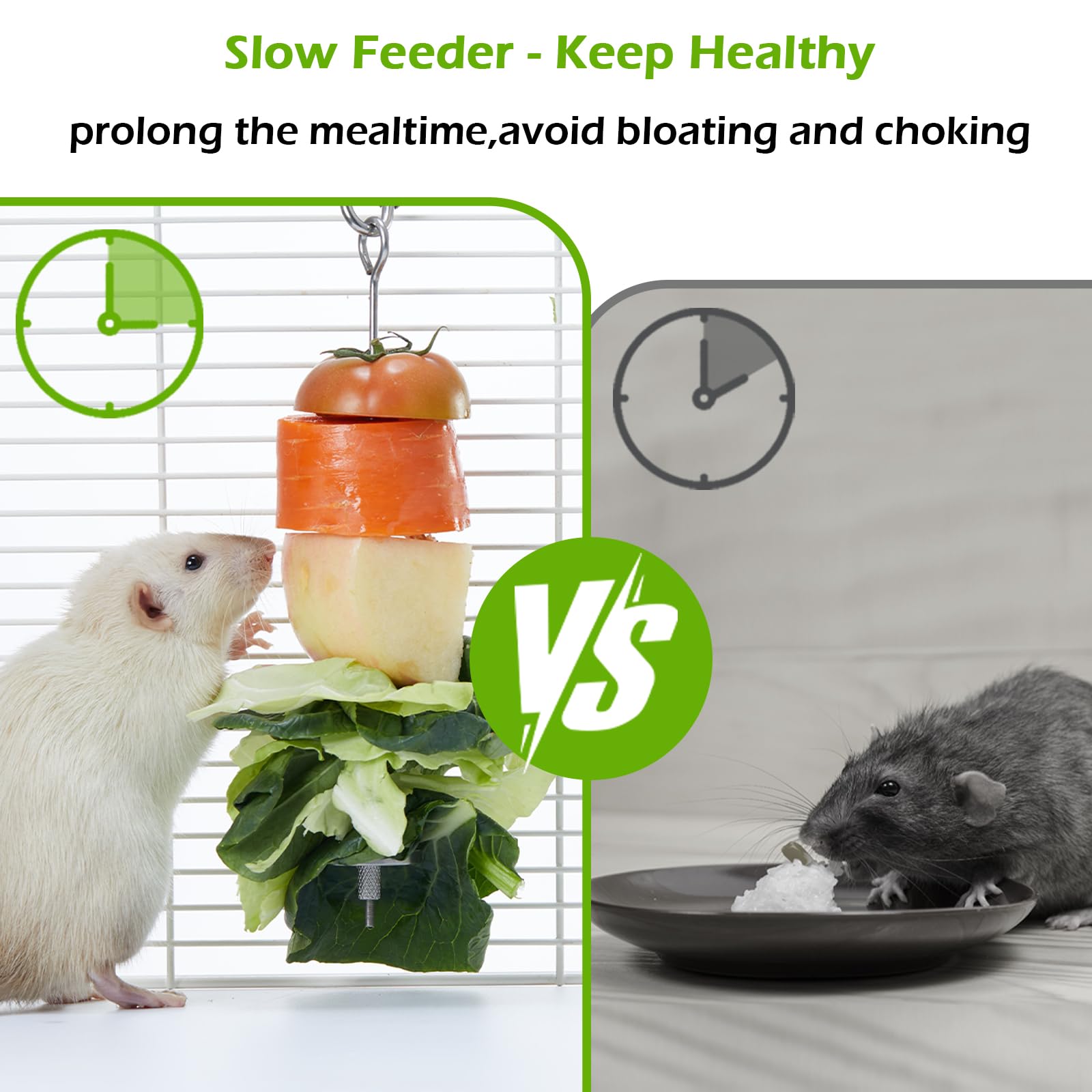 Jevnd 2Pcs Rat Enrichment Toys Set - Stainless Steel Fruit/Veg Holder & Treat Dispenser, Interactive Foraging Puzzle Toys for Rats/Mice/Birds, Cage Accessories with Hanging Feeder & Intelligence Game - image 6