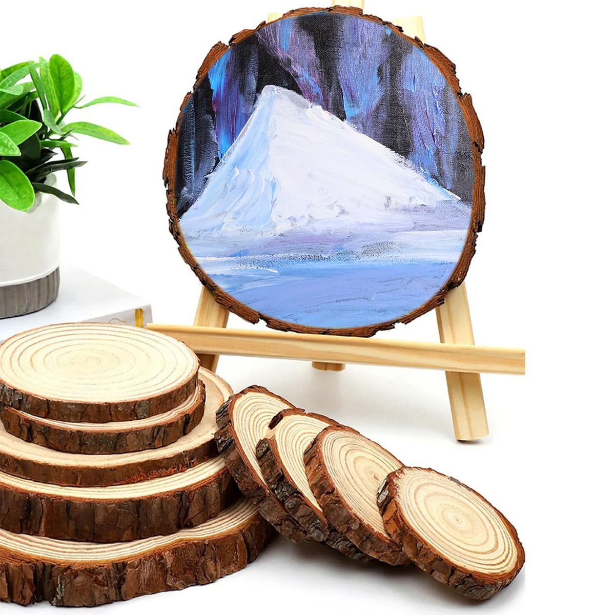Disques en Bois avec écorce, Dessous De Verre, Lot De 1 (26-28 Cm)