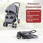 HONEY JOY Poussette double pliable pour bébé léger avec siège Tandem, 5-Point Harnais, siège d'inclinaison, panier de rangement, poussette compacte pour bébé double nouveau-né et tout-petit (Gray)