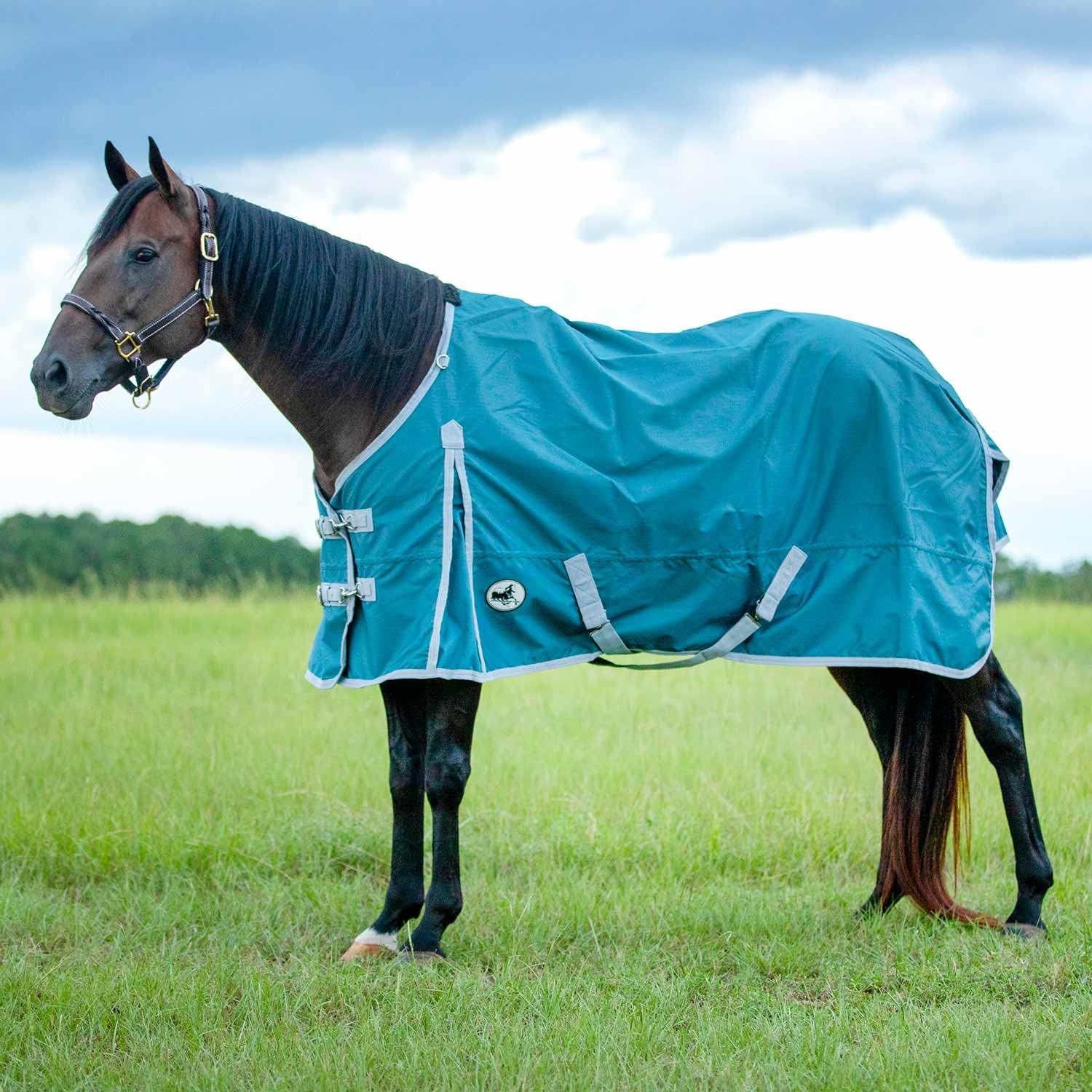 Jeffers Economy Coperta per cavallo standard da 600 denari, 190,5 cm, impermeabile e traspirante, peso medio 240 g, Polyfill, accessori per stabilità, all'aperto, equitazione, inverno, colore grigio