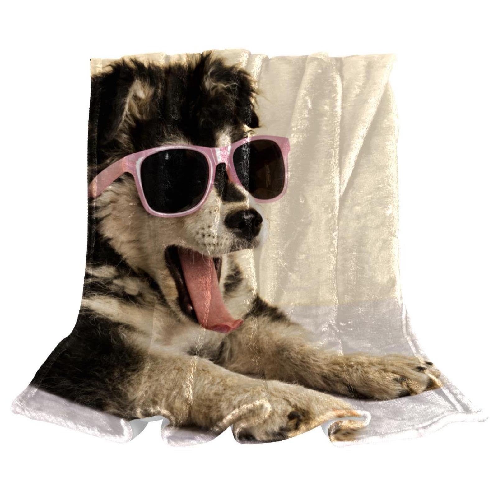 Couverture polaire chiot contre le froid plaid doux pour divans et chaises
