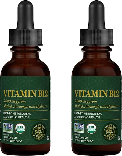 Vegansafe B-12, Vegetarianas Vitamina B12 de Global Healing de GHCHealth, paquete de de 2, 1