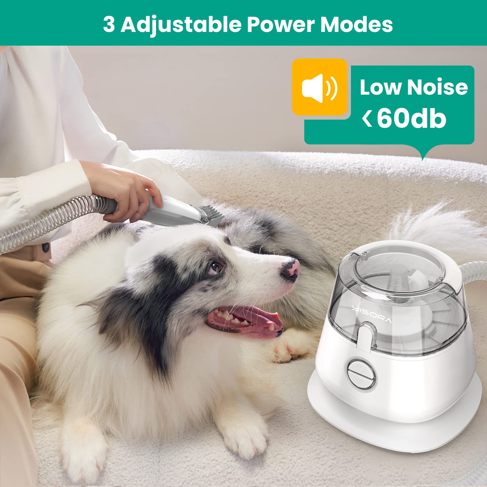 YISORA Kit per toelettatura e aspirapolvere per Animali Domestici, Tosatrice per Cani e Gatti a Pelo Lungo Professionale, 5 Strumenti per la toelettatura per la depilazione di Cani e Gatti