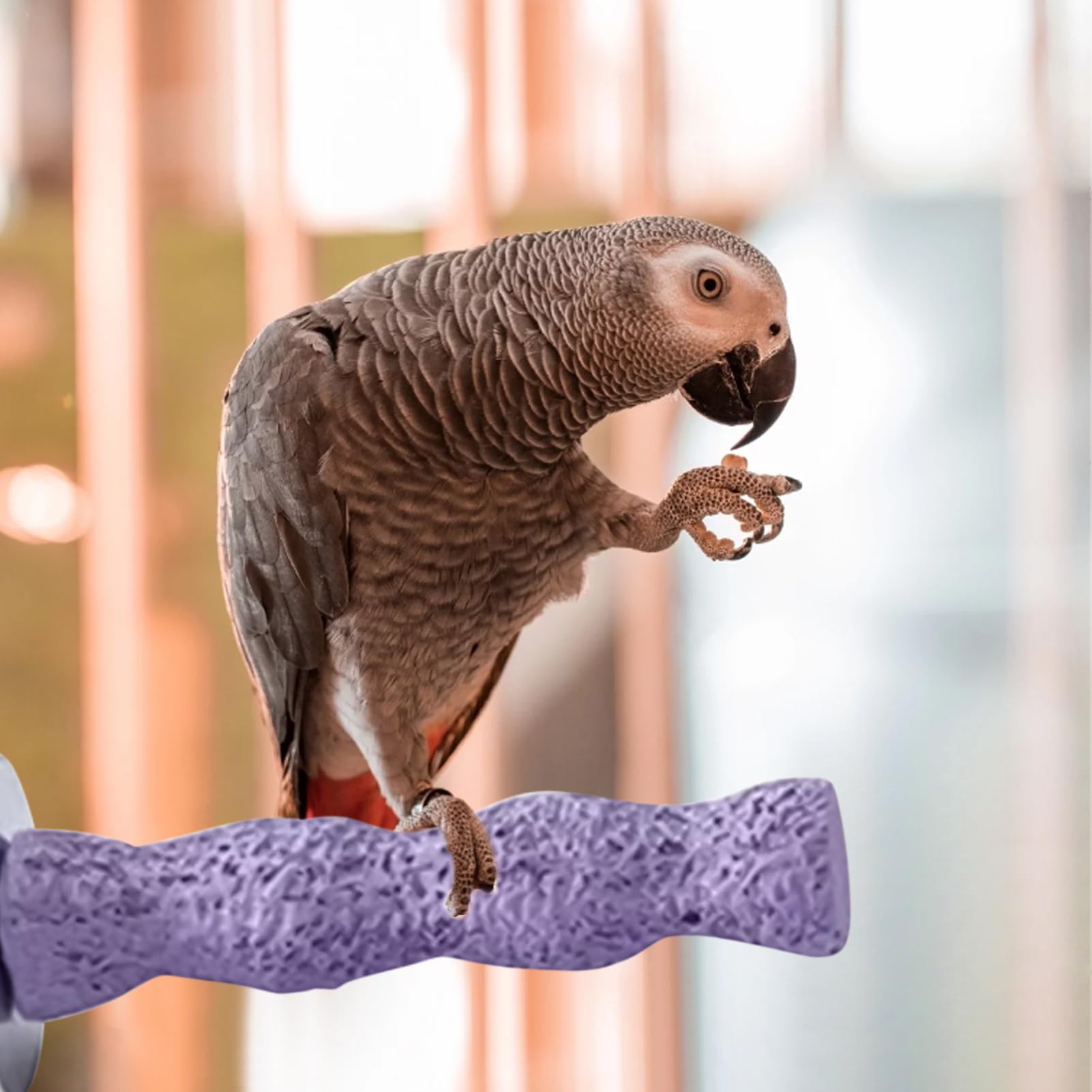 Posatoi Per Uccelli Per Gabbia,Posatoio per Gabbia Pappagallini | Giocattolo per Unghie per Pappagalli Cocorite Calopsite Inseparabili Attività Addestramento Animali Domestici Gioco Esterno