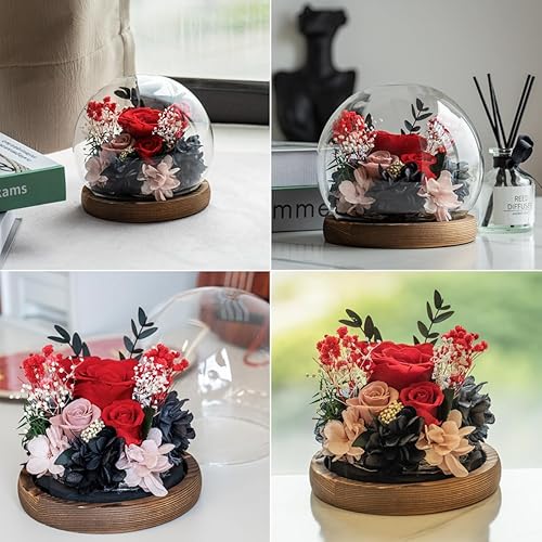 Miniatura 6 de EIGHTOWN Flor preservada de rosas rojas en cúpula de cristal, regalo de rosa real para ella, regalo para siempre para el día de San Valentín, día de