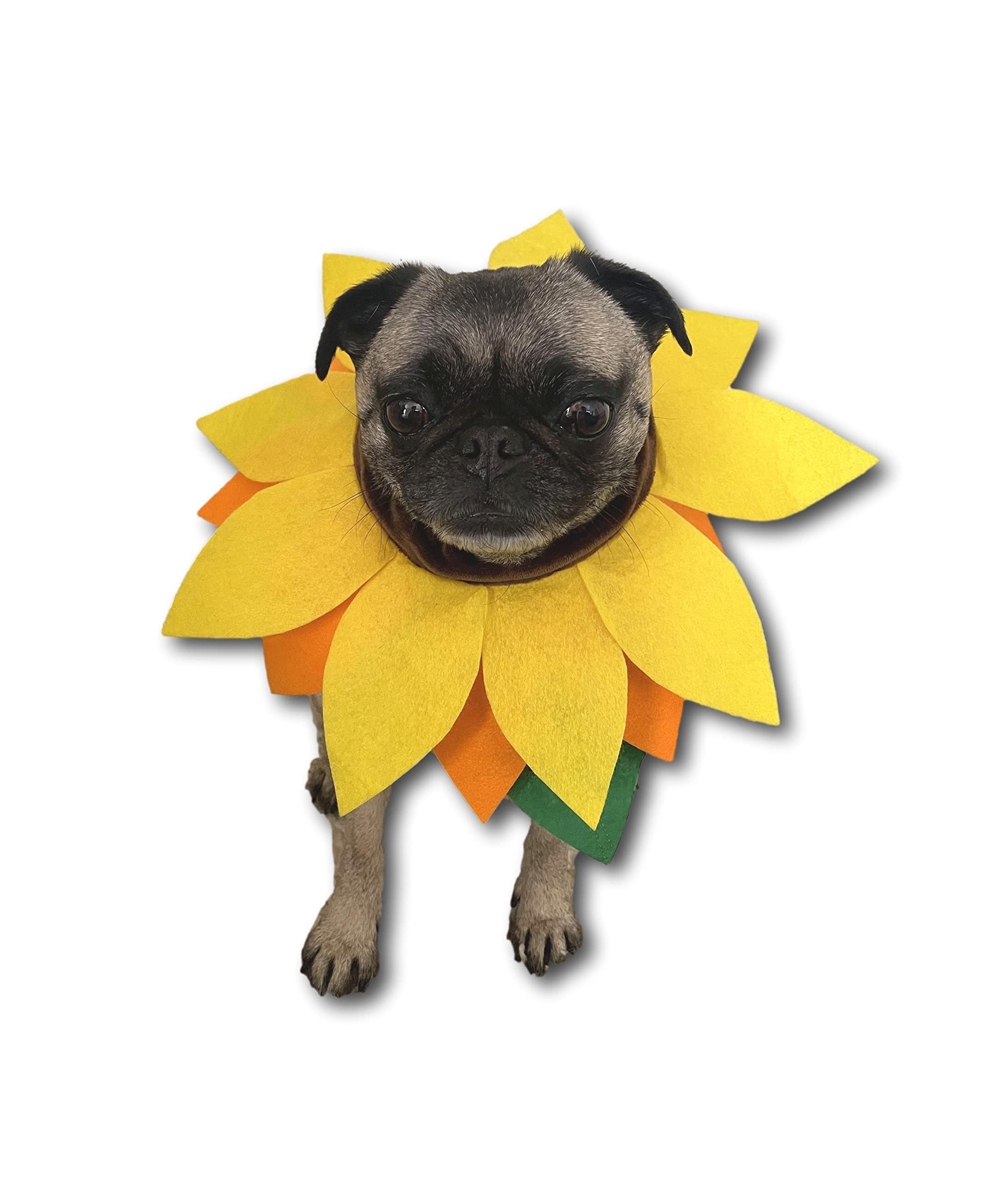 Costume Sunflower Dog Cone Sunflower Cat Recovery Cone Collar Soft
