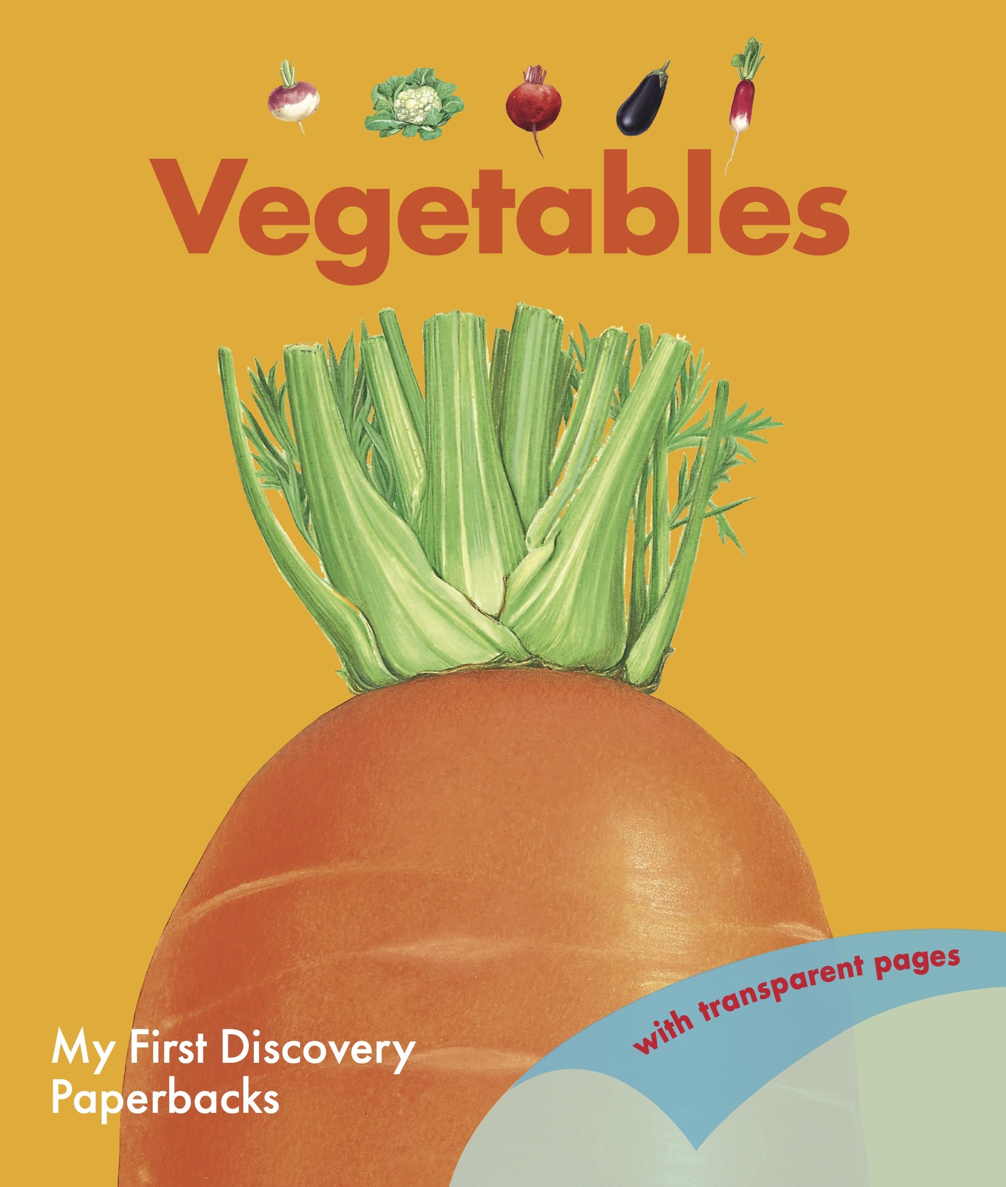 Moonlight Publishing Ltd Vegetables (My First Discoveries) – Christmas Nature Gift About Food & Gardening for Curious Kids