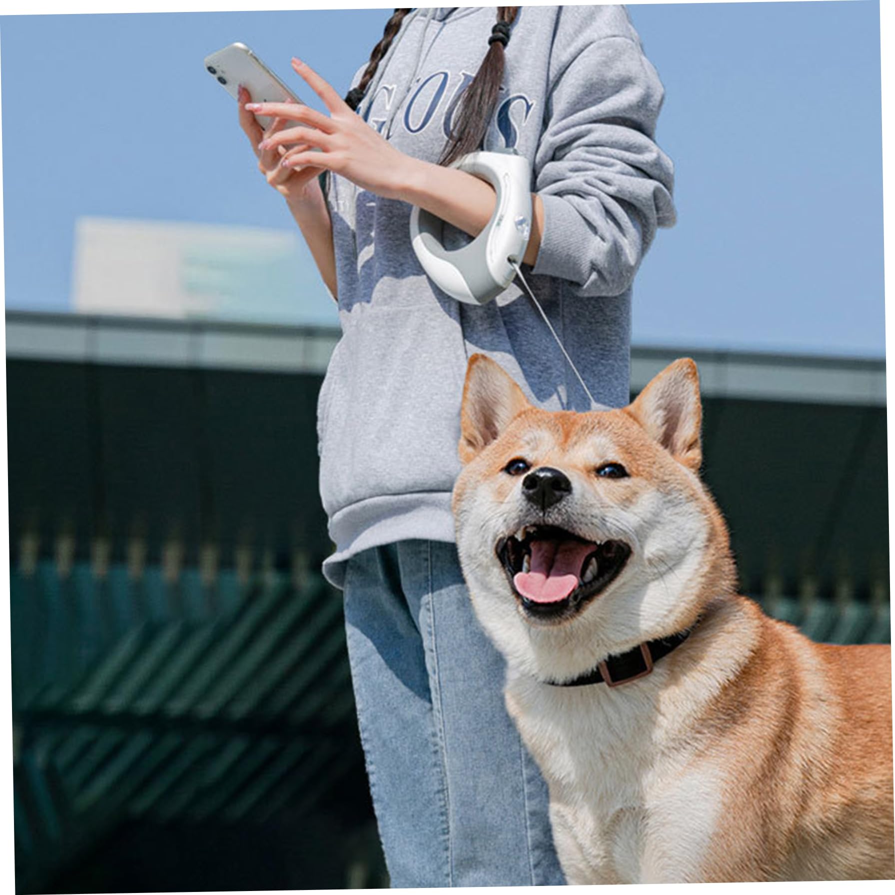 Laisse rétractable mains libres pour chien avec lampe de poche – Poignée ronde de 299,7 cm, verrouillage, lumière respirante