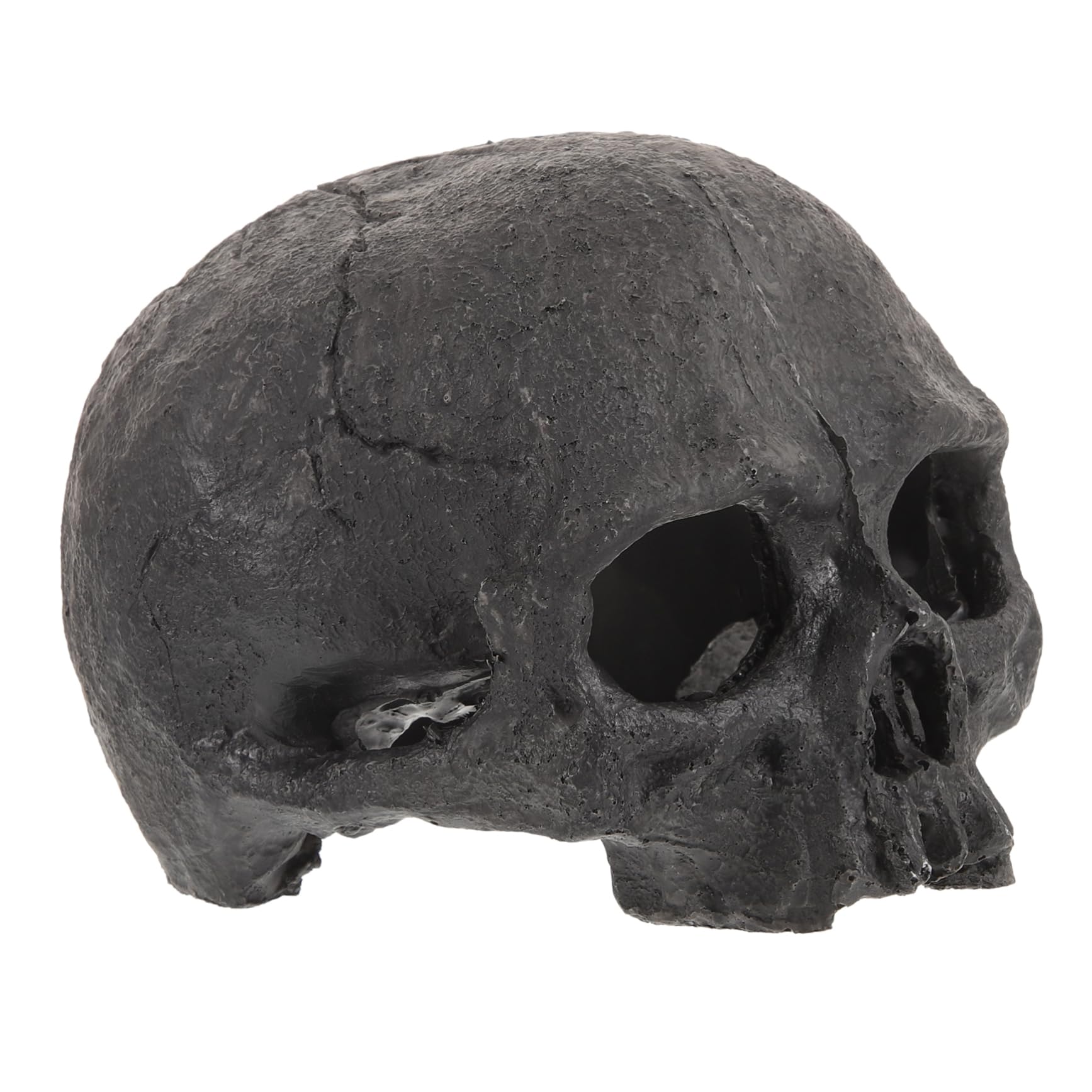 PRETYZOOM 5 Pezzi Decorazioni di Teschi di Acquari Terrarium Ornamento Dell'acquario del Cranio Rettile Scheletro Vasca Dell'acquario Decorativo Visualizzazione Impostore Black Resina