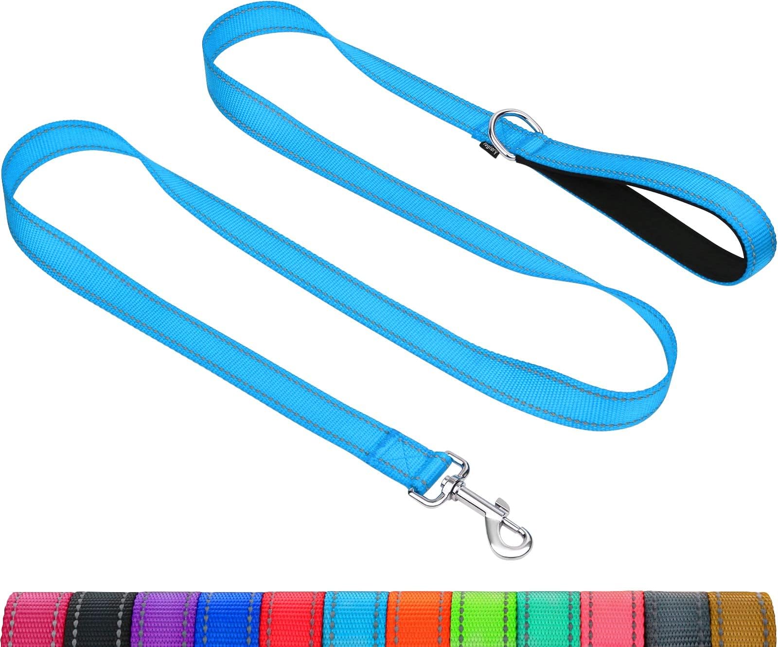 TagloryReflective Dog Training Lead, Neoprene Padded Handle and Metal Hook, 1.8 m x 2.5 cm Nylon Leash for Medium Large Dogs, Sky Blue