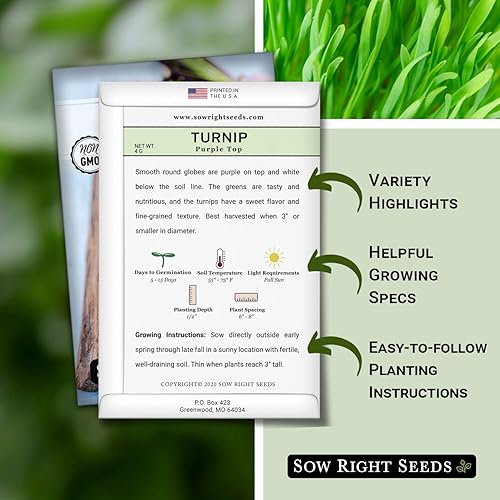 Miniatura 2 de Sow Right Seeds - Semillas de nabo con forma de globo blanco para plantar - Paquete de reliquia sin OMG con instrucciones para plantar un huerto