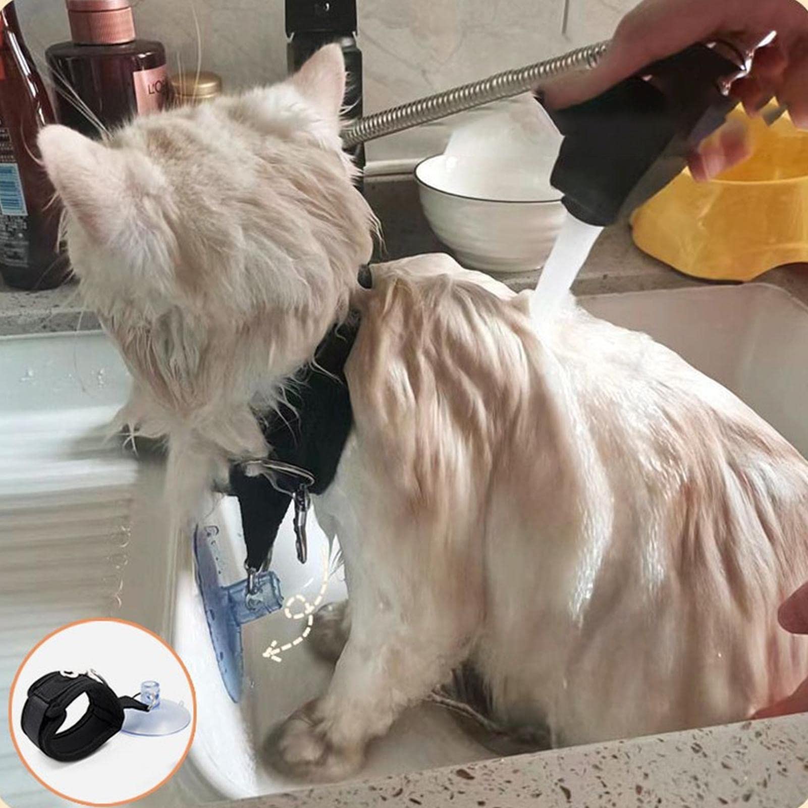 Bain pour Chat,Laisse d'Bain avec Ventouse | Laisse retenue Baignoire toilettage Chien avec Collier réglable pour la et Le toilettage Chat Chien