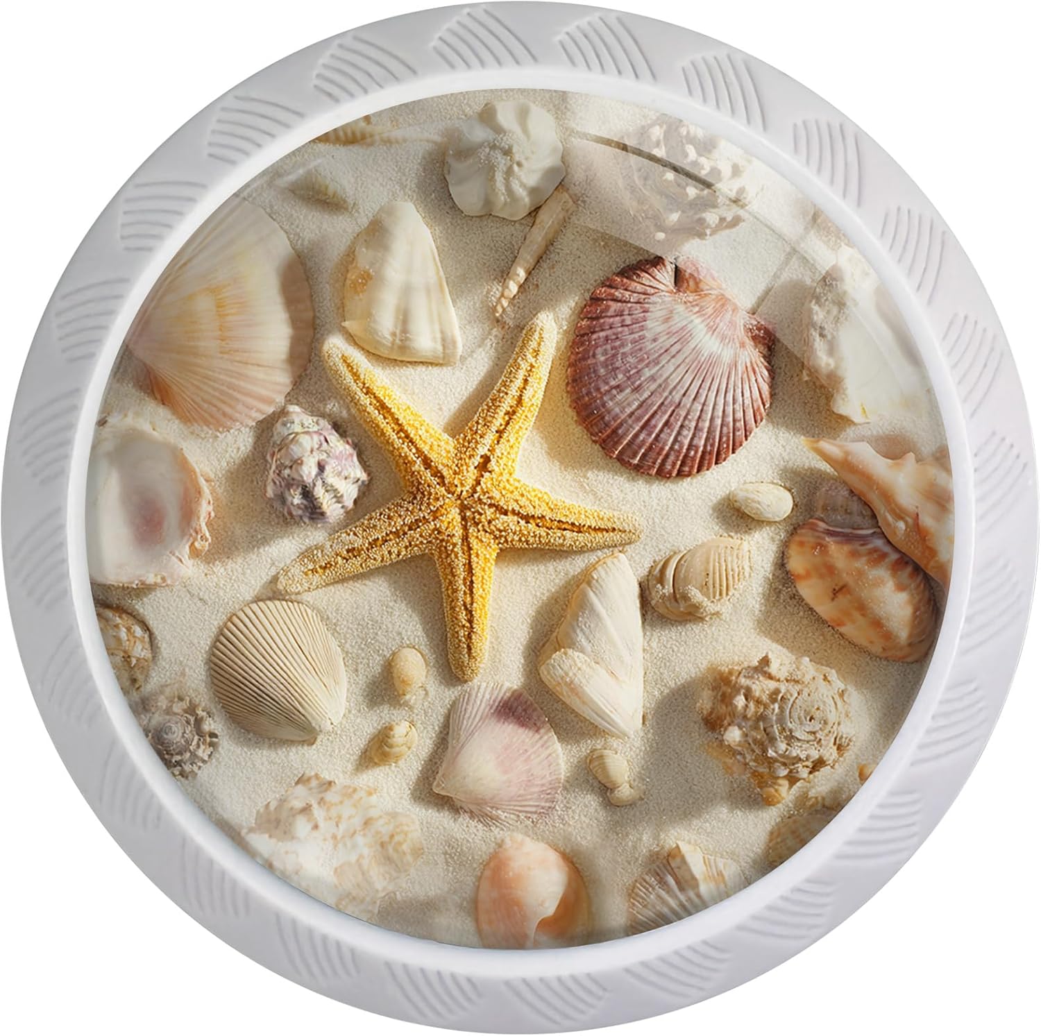 4 Pack Seashells and Starfish Cabinet Knobs Round Drawer Pulls White Dresser Knob Cupboard Door Handles Hardware for Kitchen Bathroom Cabinets
