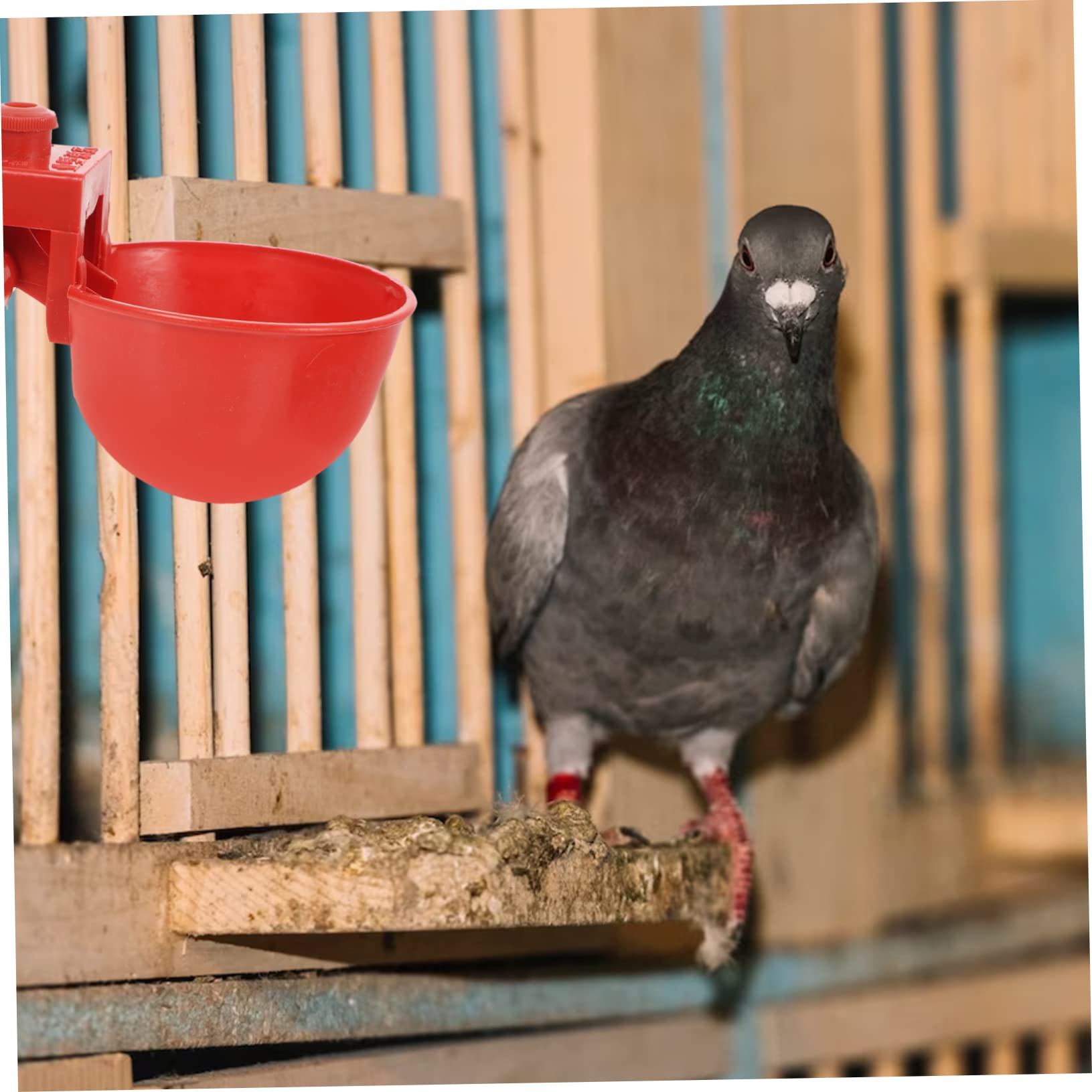 Bebedero Automático para Pollos y Palomas Rojo de Abs Ajuste de Agua Fácil y Seguro para Granjas Avícolas y Uso Doméstico Color Aleatorio