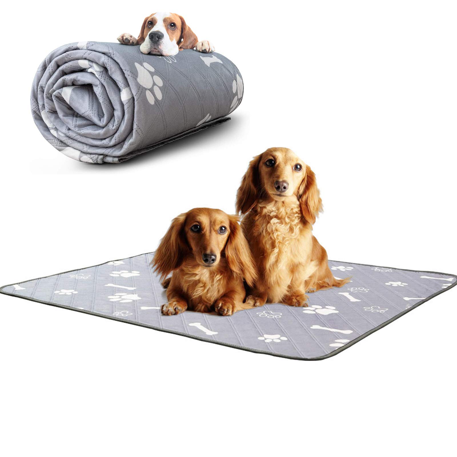 Tappetini Igienico per Cani E Gatti,Tappetini per Urine Lavabile E Assorbente per Conigli, Cucci,Lavabile in Lavatrice Impermeabile Tappetino, Moquette Riutilizzabile