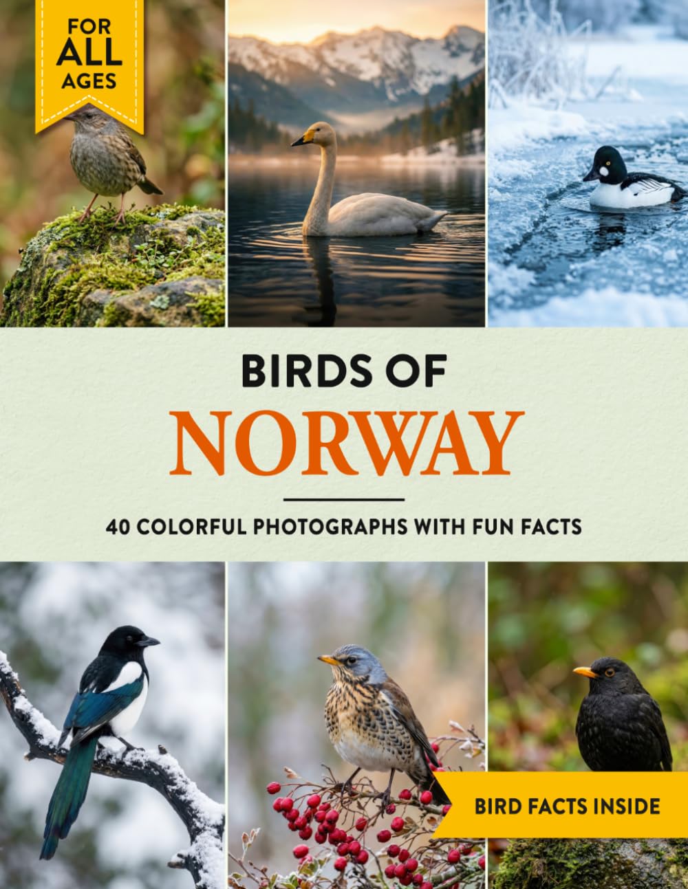 Birds of Norway: A Birdwatching Picture Book with Fun Facts and Photography for Kids, Adults & Birders